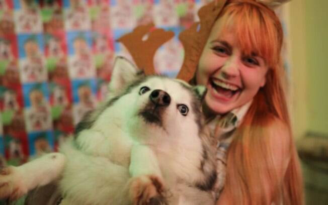 Animais que odeiam o Natal