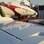 Phenom 100 Embraer, US$ 4 milhões. Foto: Mayara Teixeira