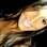 Mari Paraíba adora postar fotos em sua conta no Facebook. Foto: Reprodução