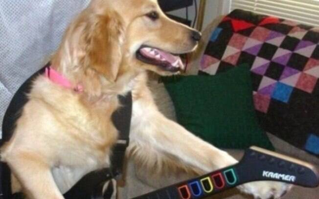 Um cachorro que ama Guitarhero.