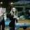 Noite de formação da Roça: Robertha, Viviane e Diego estão na Roça, mas não podem ser eliminados. Foto: Reprodução