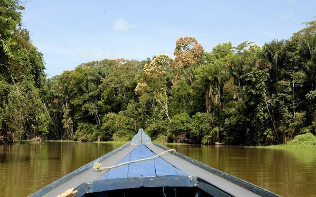 Em Manaus, turistas fazem passeios pelos igarapés e pescam piranhas
