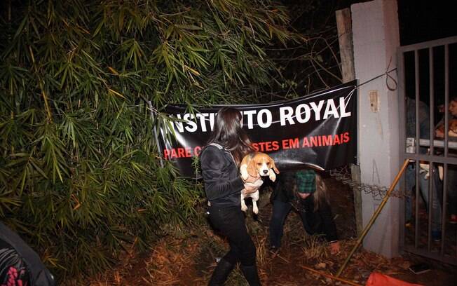 O Instituto Royal atua na área de toxicologia, genotoxicidade e estudos in vitro para avaliação de substâncias e produtos O Instituto Royal atua na área de toxicologia, genotoxicidade e estudos in vitro para avaliação de substâncias e produtos