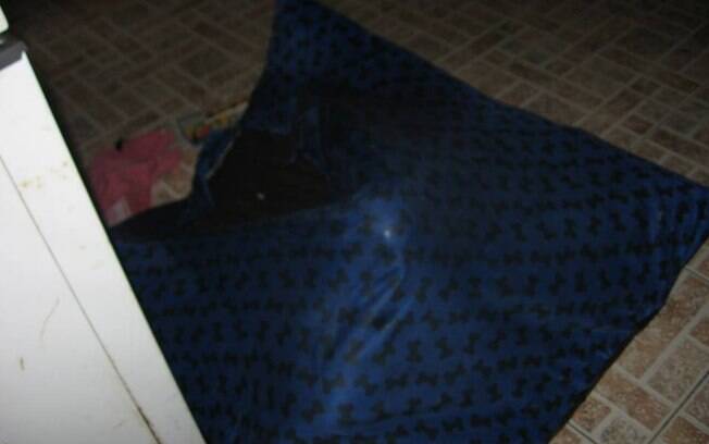 Essas caminhas são realmente um perigo. Graças a Deus o meu catioro entrou (literalmente) no sistema, e desativou a bomba. Ufa!