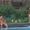 Gustavo Salyer deu um mergulho enquanto Nicole limpava a área da piscina. Foto: Reprodução