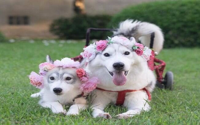 Maya e sua amiga Mamon