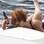 A polêmica Rihanna adora causar: durante um passeio de barco em 2011 cismou em beijar uma amiga para os fotógrafos . Foto: Grosby Group/ SplashNews