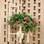 Na Expoflora, uma cadeira pendurada na parede deu ares decorativos ao jardim. Foto: Divulgação