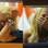 tara reid. Foto: Reprodução