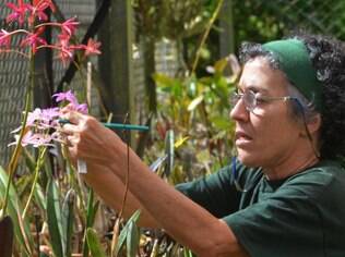 Maria do Rosário não hesitou em largar as algas marinhas para cuidar das orquídeas