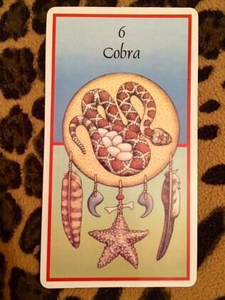 Carta 6, da Cobra