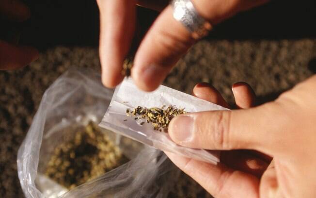 Idade em que se começa a usar maconha influencia na saúde do cérebro, diz estudo americano Idade em que se começa a usar maconha influencia na saúde do cérebro, diz estudo americano