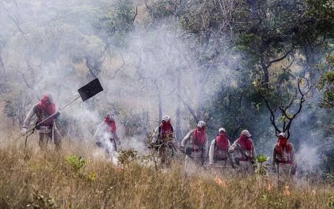 Corpo de Bombeiros tenta controlar fogo em mata seca na cidade de Cuiabá, em junho passado