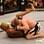 Travis Lutter acabou derrotado por Anderson com um triângulo e com cotoveladas. Foto: Getty Images