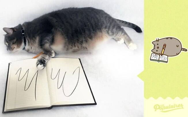 O gatinho rabiscando.