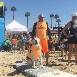 Campeonato de surfe para cachorros agitou praia da Califórnia