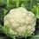 Couve-flor: outra crucífera (age nos danos das células). Foto: Getty Images