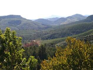 Vista das montanhas de Monte Verde
