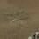 Imagem aproximada mostra solo de Marte marcado pelo pouso do Curiosity. Foto: NASA/JPL