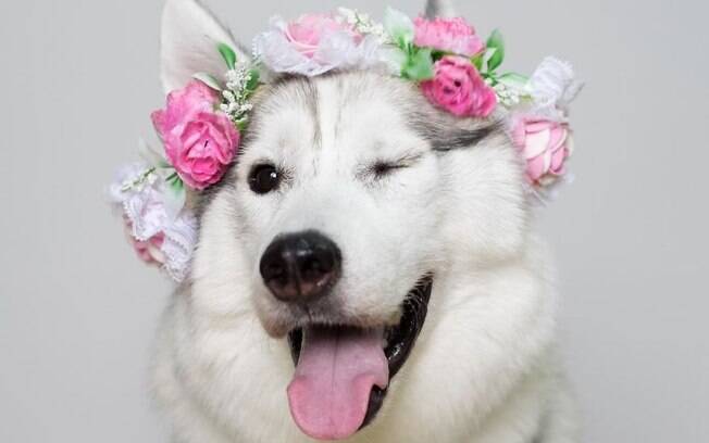 Maya
