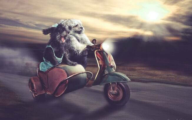Radical.