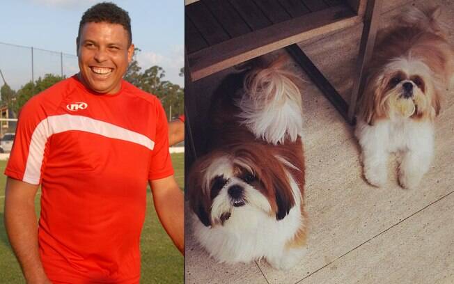 Ronaldo têm dois cachorros da raça lhasa apso