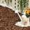 O regador foi usado como vaso e garantiu beleza à decoração do jardim. Da Expoflora. Foto: Divulgação
