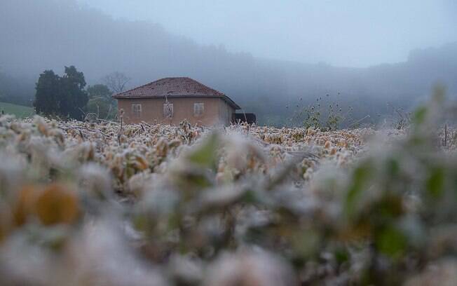 Geada atinge a cidade de Frederico Westphalen (RS), na manhã desta terça-feira (23).