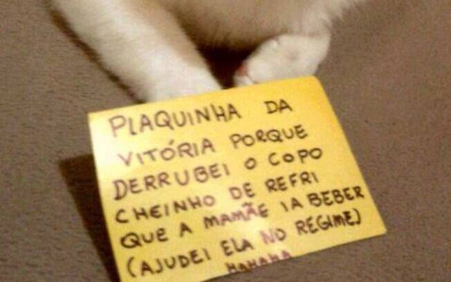 Um gatinho fiscal de regime.
