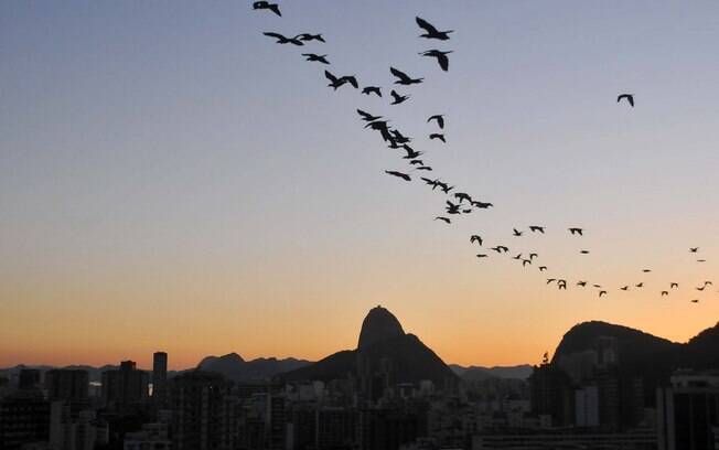 Pão de Açúcar visto do bairro de Botafogo no Rio de Janeiro, RJ, no amanhecer desta terça-feira. (04/02/2013)