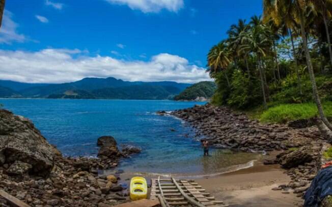 Uma ilha na costa do Brasil, em meio a Mata Atlântica, com plantas lindas e raras Uma ilha na costa do Brasil, em meio a Mata Atlântica, com plantas lindas e raras