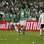 Palmeiras toca a bola contra o Coritiba. Foto: Vipcomm