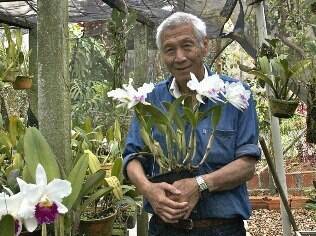 Denitiro Watanabe cultiva mais de 900 orquídeas