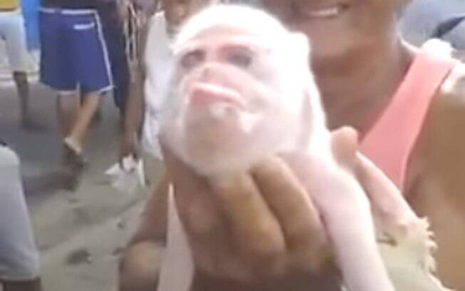 Porco macaco assustou os moradores de vila cubana
