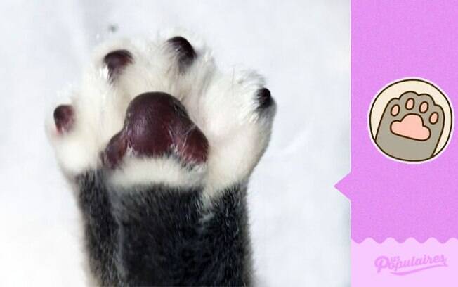O famoso hi-five. Bate aqui.