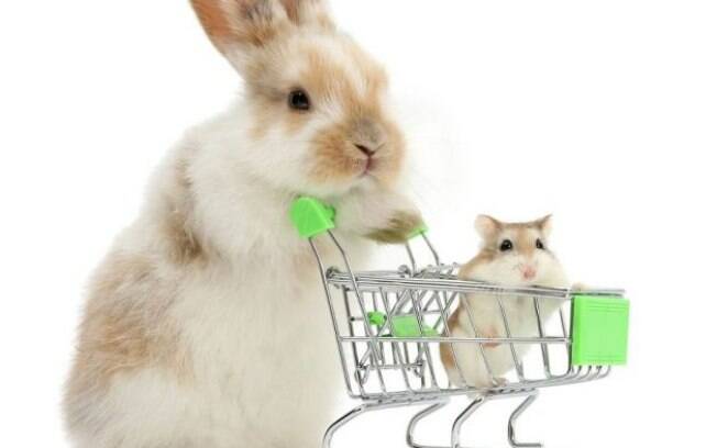 Coelho e hamster