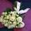 No verão, tons suaves e espécies delicadas predominam, Buquê de rosa e rosa spray da Flor & Forma. Foto: Divulgação