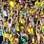 Torcida do Brasil durante o amistoso contra a África do Sul. Foto: Futura Press