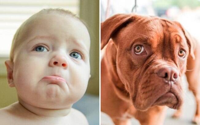 Um bebê e um cachorro bem tristes. :(