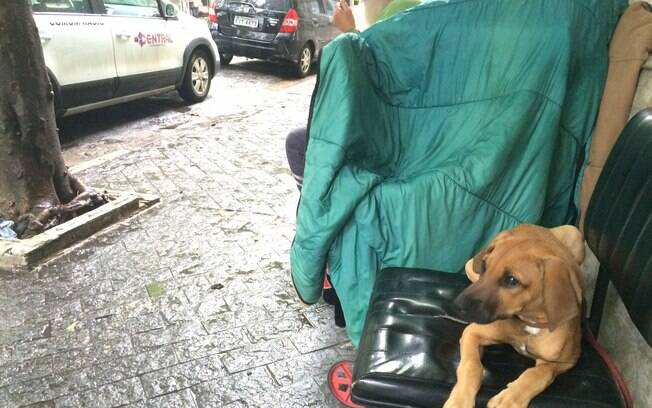 Cena  comum no centro de So Paulo. Moradores de rua adotam animais e aliviam drama de no ter um lar para viver. Foto: Carolina Garcia/iG So Paulo