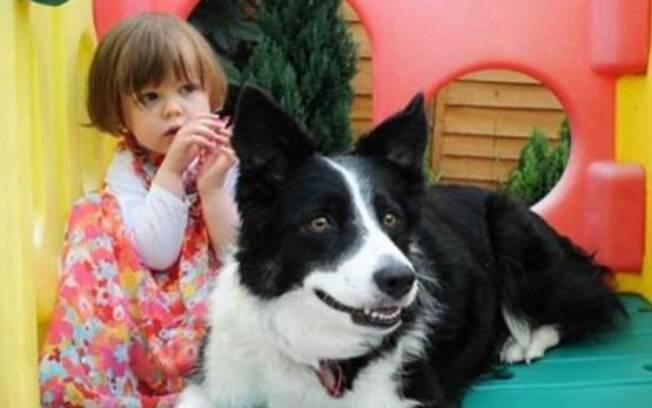 Cachorra conseguiu farejar câncer em menina de 3 anos.