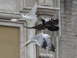 Corvo e gaivota atacam pomba da paz libertada por papa Francisco (26/01/2014)