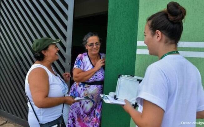 Oxitec desenvolveu testes no interior paulista, e prefeitura tenta emplacar transgênico