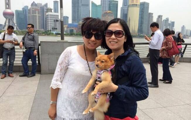 Turista levava cãozinho junto ao peito - como pais fazem com bebês
