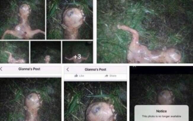 Gianna Peponis publicou em seu Facebook diversas fotos da criatura semelhante a um alien