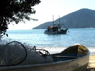 Saco do Mamanguá é uma boa opção para quem quer tranquilidade em Paraty