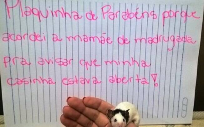 Um hamster sempre alerta.