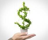 As cinco melhores ações para aposta no mercado financeiro