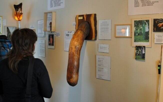 Inaugurado em 2011, o Icelandic Phallogical Museum, que abriga 282 tipos do órgão masculino de 93 espécies