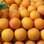 Laranja: contém fibras, vitamina C, pectina e antioxidantes com propriedades anti-inflamatórias. Foto: Getty Images